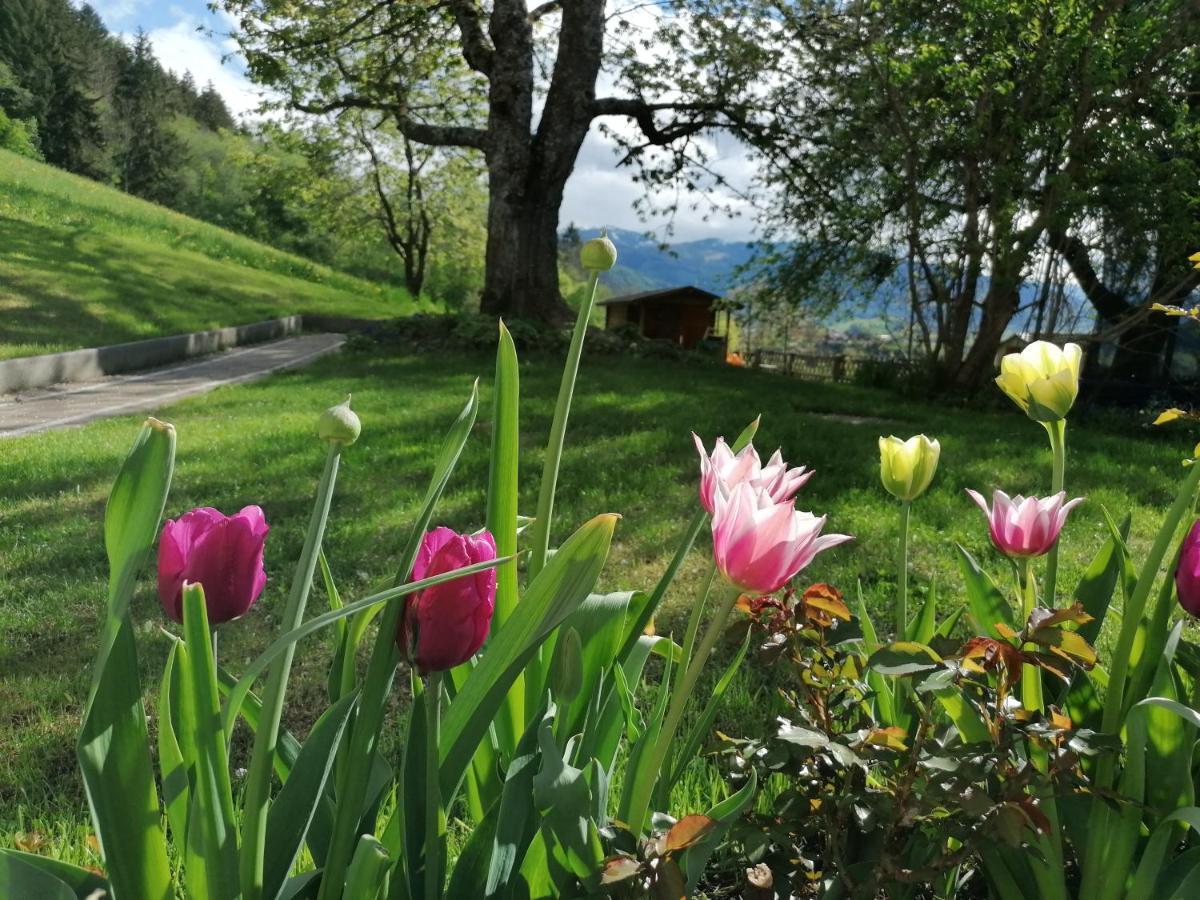 Hoerandlhof Aigen im Ennstal Bagian luar foto