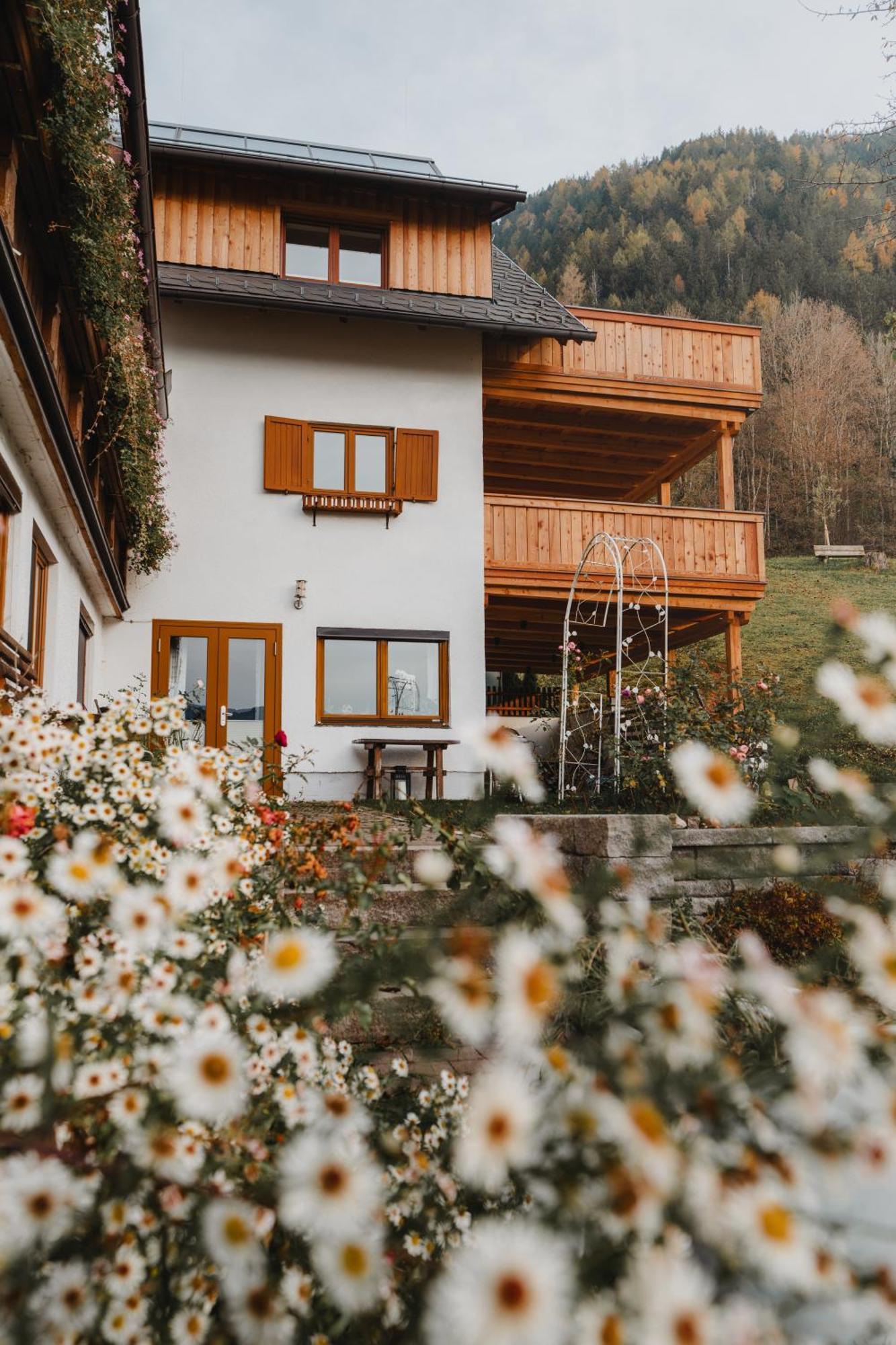 Hoerandlhof Aigen im Ennstal Bagian luar foto